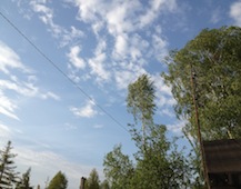 Zdjęcie: IMG_0733.JPG